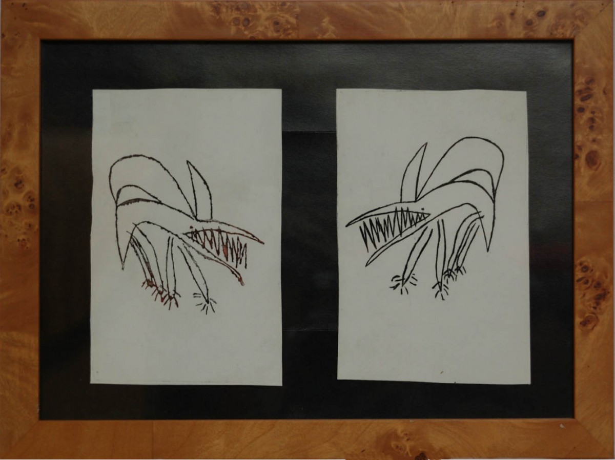 ets Sjoerds zicht Draken H